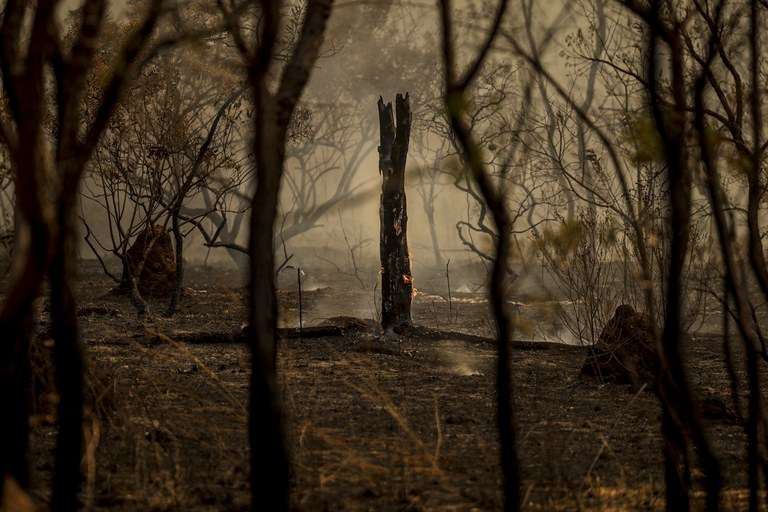 Corpo de Bombeiros combate 22 incêndios florestais em Mato Grosso nesta segunda-feira (07)