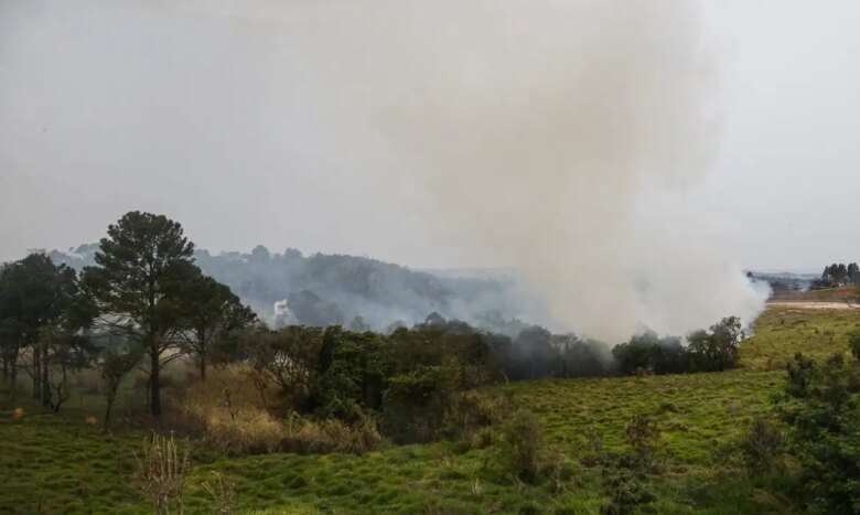 São Paulo (SP) 24/08/2024 - Foco de incêndio próximo a rodovia presidente Castelo Branco, o governo de São Paulo cria gabinete de crise para combate a incêndios Estradas são interditadas e 30 municípios estão em alerta máximo Foto: Paulo Pinto/Agência Brasil