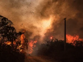 Corpo de Bombeiros combate 25 incêndios florestais em Mato Grosso nesta quarta-feira (09.10)