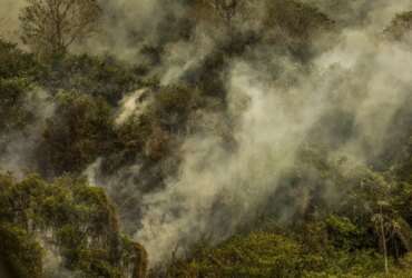 Corumbá (MS), 30/06/2024 - Imagens aéreas mostram áreas devastadas pelo fogo no Pantanal. Foto: Marcelo Camargo/Agência Brasil