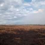 Fazendeiro é multado em R$ 50 milhões por incêndio criminoso no Pantanal de Mato Grosso