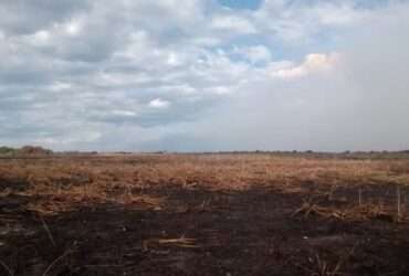 Fazendeiro é multado em R$ 50 milhões por incêndio criminoso no Pantanal de Mato Grosso