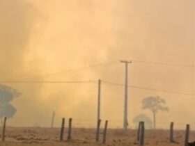 Homem é encontrado morto em área incendiada em Mato Grosso