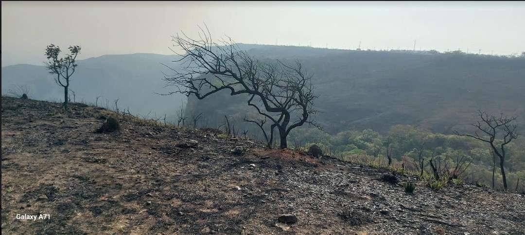 Mirante do Centro Geodésico: Um pedido de socorro em Mato Grosso