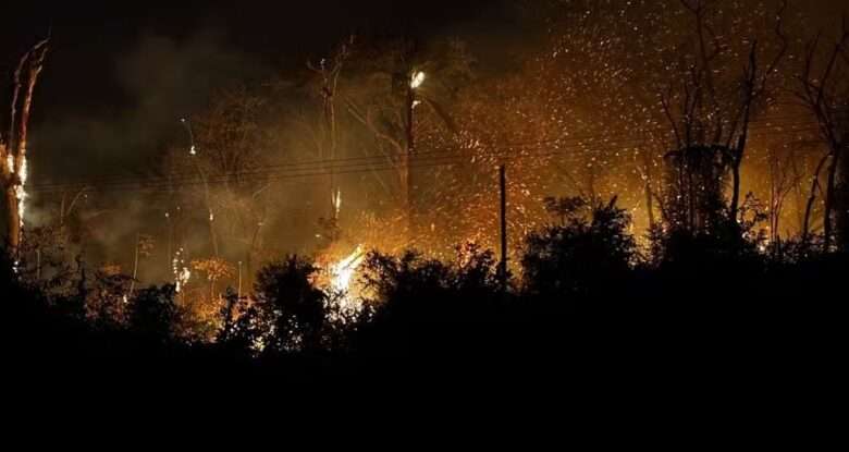 Incêndios devastam terras indígenas em Mato Grosso e colocam povos em risco