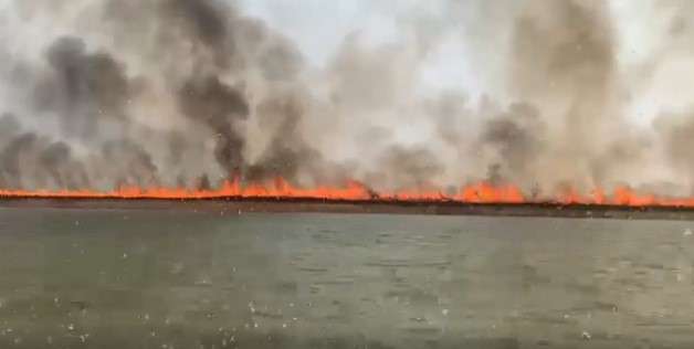 Incêndios devastam o Xingu e ameaçam povos indígenas de Mato Grosso