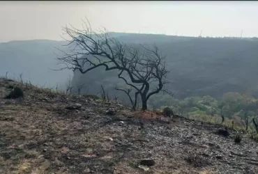 Mato Grosso concentra 21% da área queimada do Brasil, revela o Monitor do Fogo