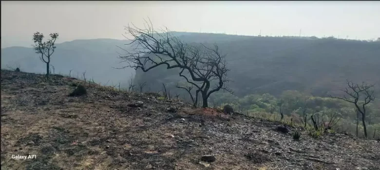 Mato Grosso concentra 21% da área queimada do Brasil, revela o Monitor do Fogo