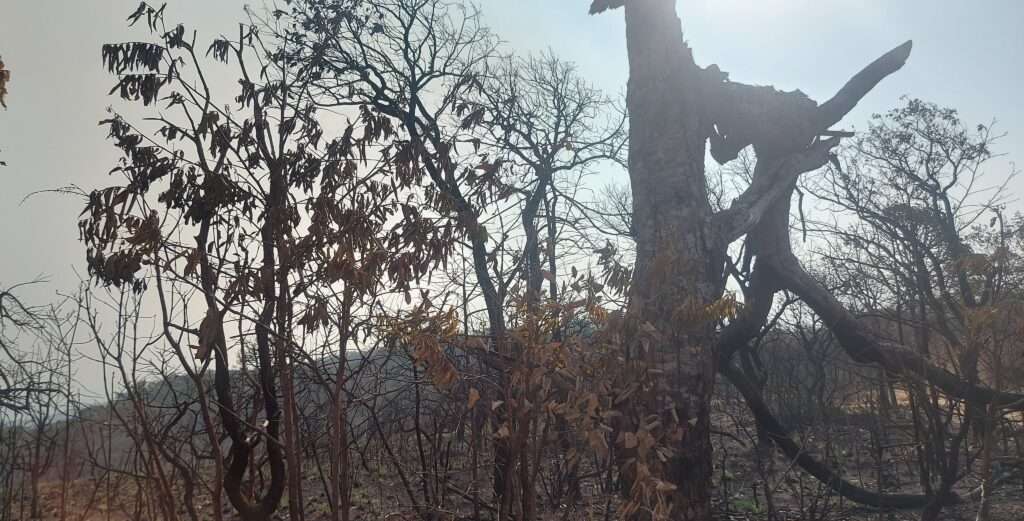 Mirante do Centro Geodésico: Um pedido de socorro em Mato Grosso