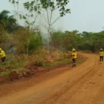 Bombeiros catarinenses resgatam 16 brigadistas perdidos em mata de Mato Grosso Foto: CBM/Divulgação