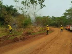 Bombeiros catarinenses resgatam 16 brigadistas perdidos em mata de Mato Grosso Foto: CBM/Divulgação