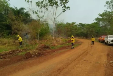 Bombeiros catarinenses resgatam 16 brigadistas perdidos em mata de Mato Grosso Foto: CBM/Divulgação