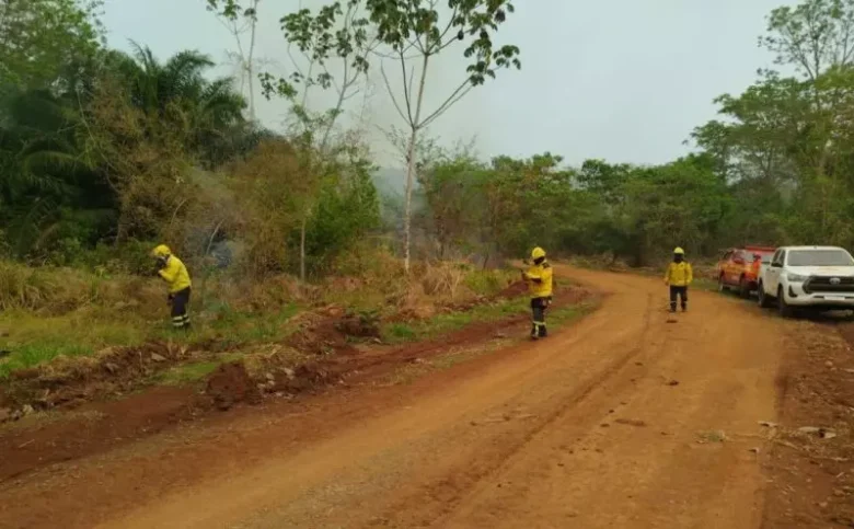 Bombeiros catarinenses resgatam 16 brigadistas perdidos em mata de Mato Grosso Foto: CBM/Divulgação