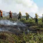 Bombeiros combatem 48 incêndios florestais em Mato Grosso nesta quarta-feira (11)