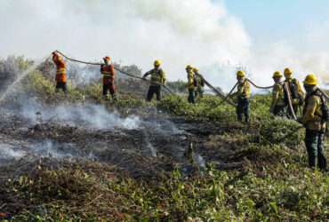 Bombeiros combatem 48 incêndios florestais em Mato Grosso nesta quarta-feira (11)