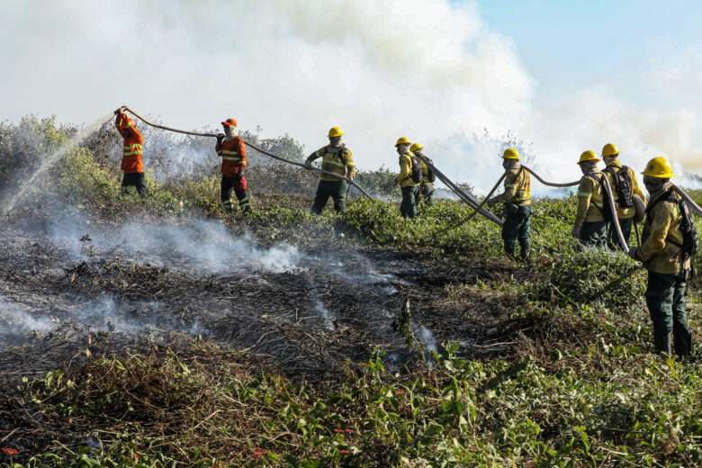 Bombeiros combatem 48 incêndios florestais em Mato Grosso nesta quarta-feira (11)