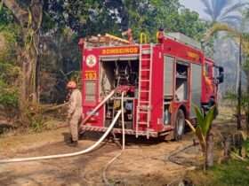 Bombeiros controlam chamas que atingiram barracões e carretas em Sinop