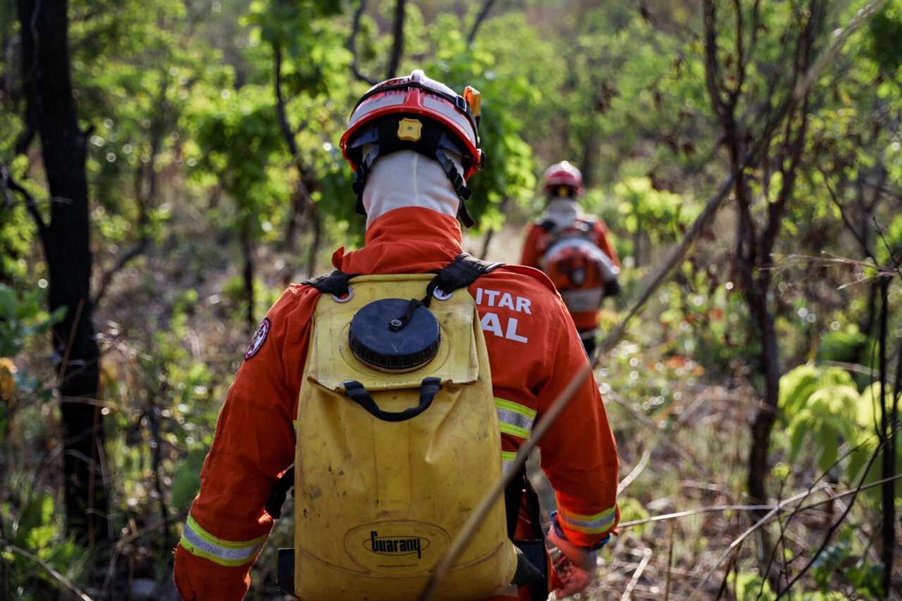 Bombeiros combatem mais de 49 incêndios nas últimas 24 horas em diversas regiões de Mato Grosso