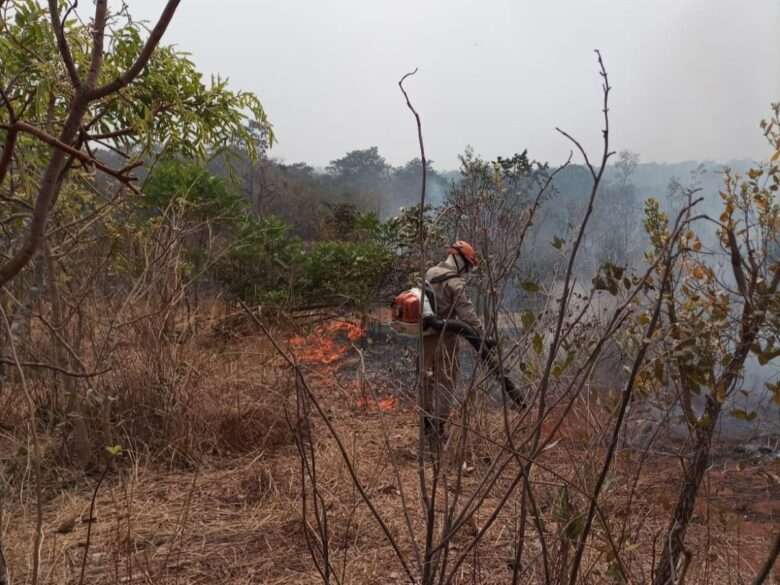 Bombeiros de Mato Grosso combatem incêndios em Campo Verde e garantem segurança de propriedades rurais