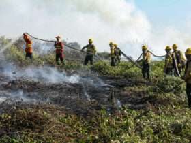 Bombeiros de Mato Grosso extinguem incêndio em terra indígena e combatem outros 53 neste domingo (15)