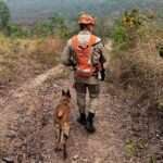 Bombeiros localizam corpo de homem desaparecido em Mato Grosso