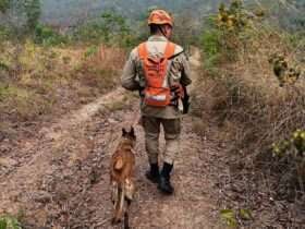 Bombeiros localizam corpo de homem desaparecido em Mato Grosso