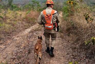 Bombeiros localizam corpo de homem desaparecido em Mato Grosso