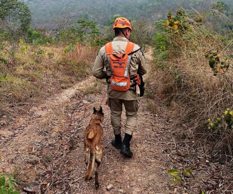 Bombeiros localizam corpo de homem desaparecido em Mato Grosso