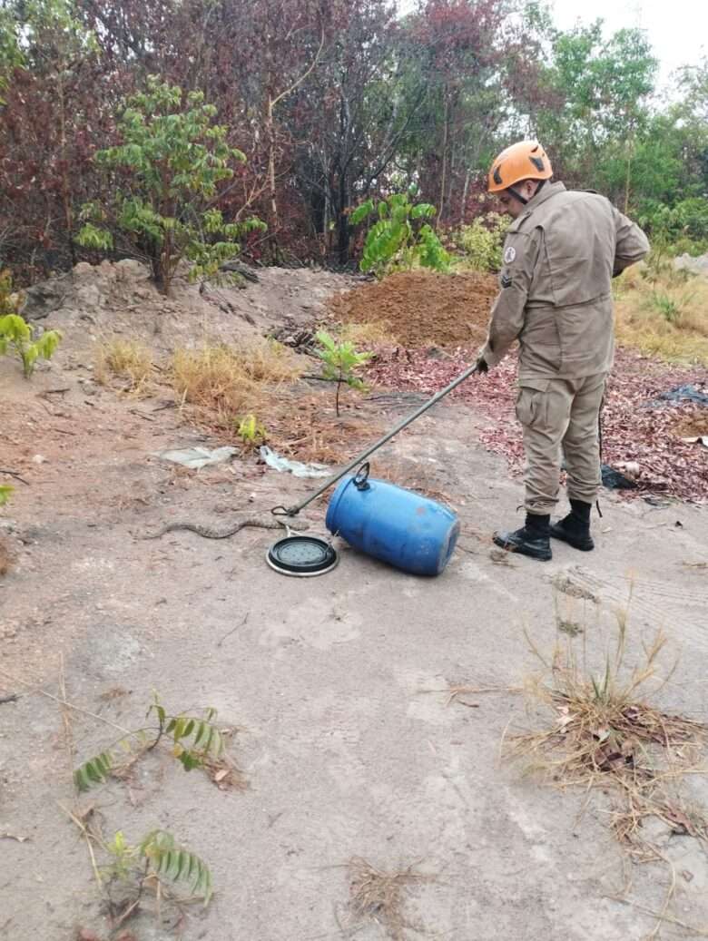 Bombeiros resgatam cobra jararaca no centro de Primavera do Leste