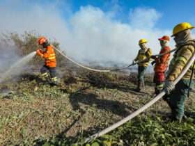 Chapada dos Guimaraes e Pantanal entre as areas mais atingidas por incendios em Mato Grosso 1