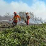 Corpo de Bombeiros combate 34 incêndios florestais nesta sexta-feira