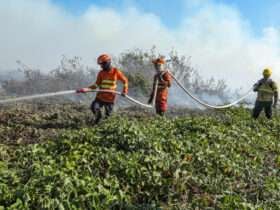 Corpo de Bombeiros combate 34 incêndios florestais nesta sexta-feira