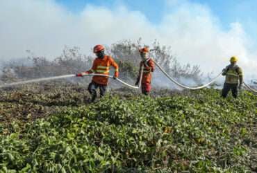 Corpo de Bombeiros combate 34 incêndios florestais nesta sexta-feira