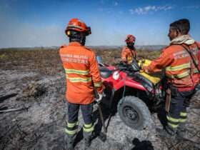 Corpo de Bombeiros de Mato Grosso combate mais de 40 incendios florestais nesta sexta feira 06