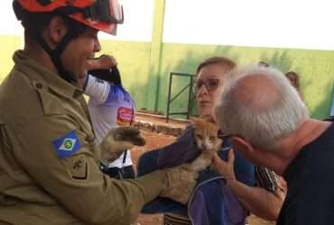 Corpo de Bombeiros realiza diversos resgates de animais em um unico dia em Mato Grosso