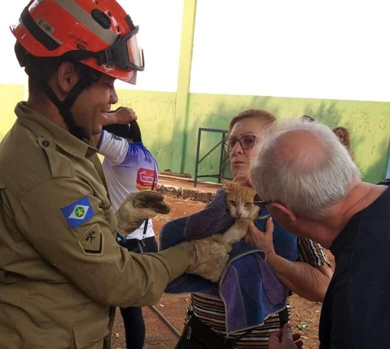 Corpo de Bombeiros realiza diversos resgates de animais em um unico dia em Mato Grosso