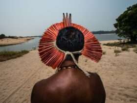 Demarcacao e homologacao de terras indigenas avancam em Mato Grosso