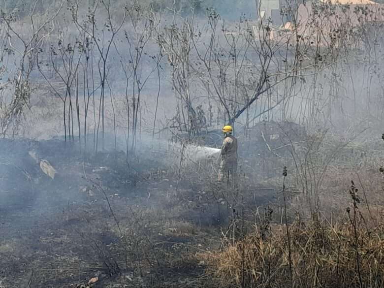 Corpo de Bombeiros de Lucas do Rio Verde combate incêndio florestal que consome 10 hectares de vegetação