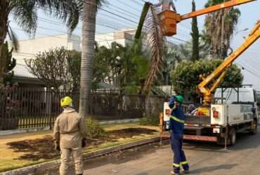 Folha de palmeira causa curto-circuito e gera incêndio em fiação elétrica no interior de Mato Grosso