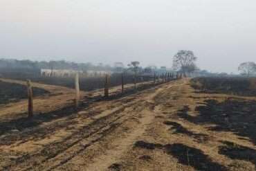 Grupo agropecuário é acusado de causar incêndio criminoso de grandes proporções em Mato Grosso