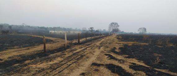 Grupo agropecuário é acusado de causar incêndio criminoso de grandes proporções em Mato Grosso