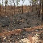 Bombeiros de Mato Grosso extinguem três incêndios e combatem outros 48 nesta segunda-feira (23)