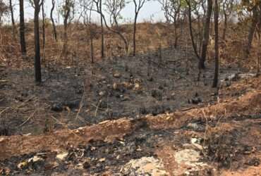 Bombeiros de Mato Grosso extinguem três incêndios e combatem outros 48 nesta segunda-feira (23)