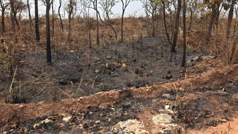 Homem é preso em flagrante por incêndio criminoso em Mato Grosso