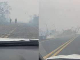 Incêndio destrói vegetação e impede trânsito em rodovia de Mato Grosso