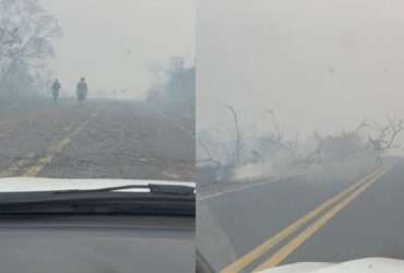 Incêndio destrói vegetação e impede trânsito em rodovia de Mato Grosso