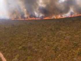 Incêndio em Chapada dos Guimarães exige reforço no combate desde o último sábado (21)