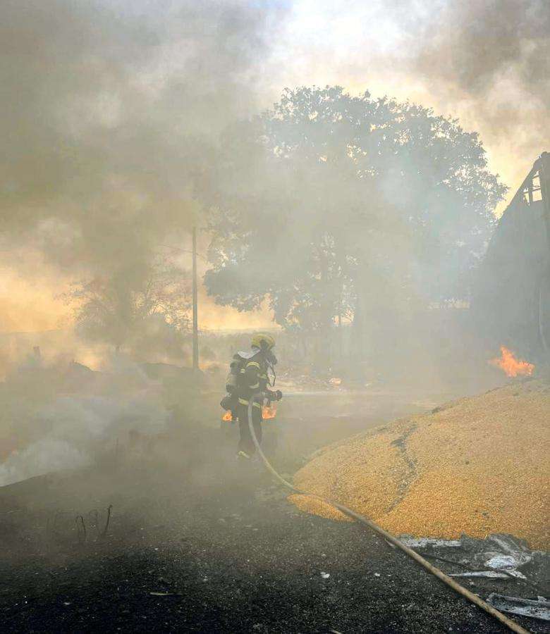 Incêndio em caminhão com milho gera susto em rodovia de Mato Grosso