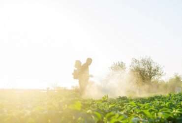 Justiça anula decreto que reduzia distância para aplicação de agrotóxicos em Mato Grosso