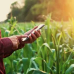 Mato Grosso tem onças, capivaras e também, muita tecnologia